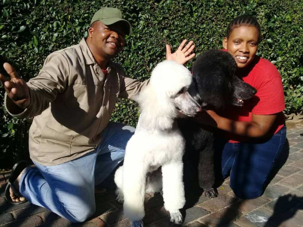 TMHC Client Photos – Grey and White Poodle with Staff Members