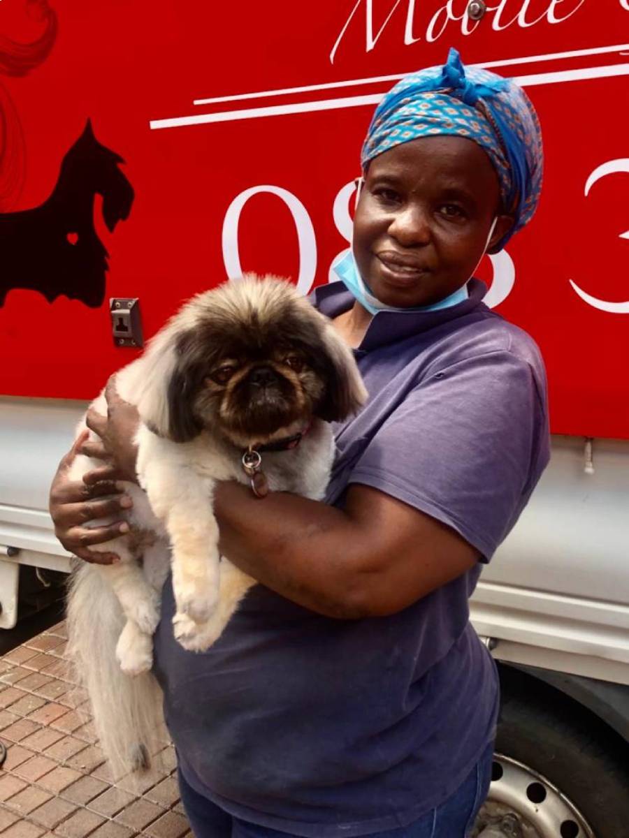Florah Holding A Groomed Pekingese Puppy Florah Holding A Groomed Pekingese Puppy