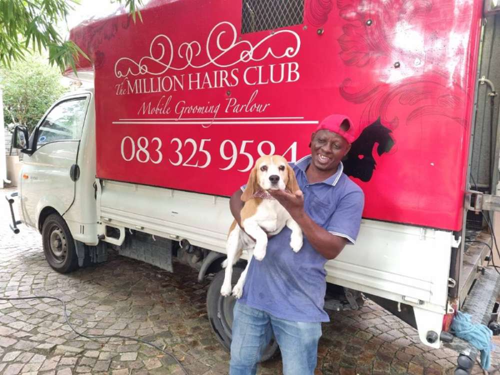 Sunnyboy Holding a Groomed Beagle in Jukskei Park Sunnyboy Holding a Groomed Beagle in Jukskei Park